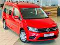 Volkswagen Caddy -Maxi-Behindertengerecht-Rampe Rouge - thumbnail 3