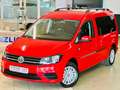 Volkswagen Caddy -Maxi-Behindertengerecht-Rampe Rouge - thumbnail 7
