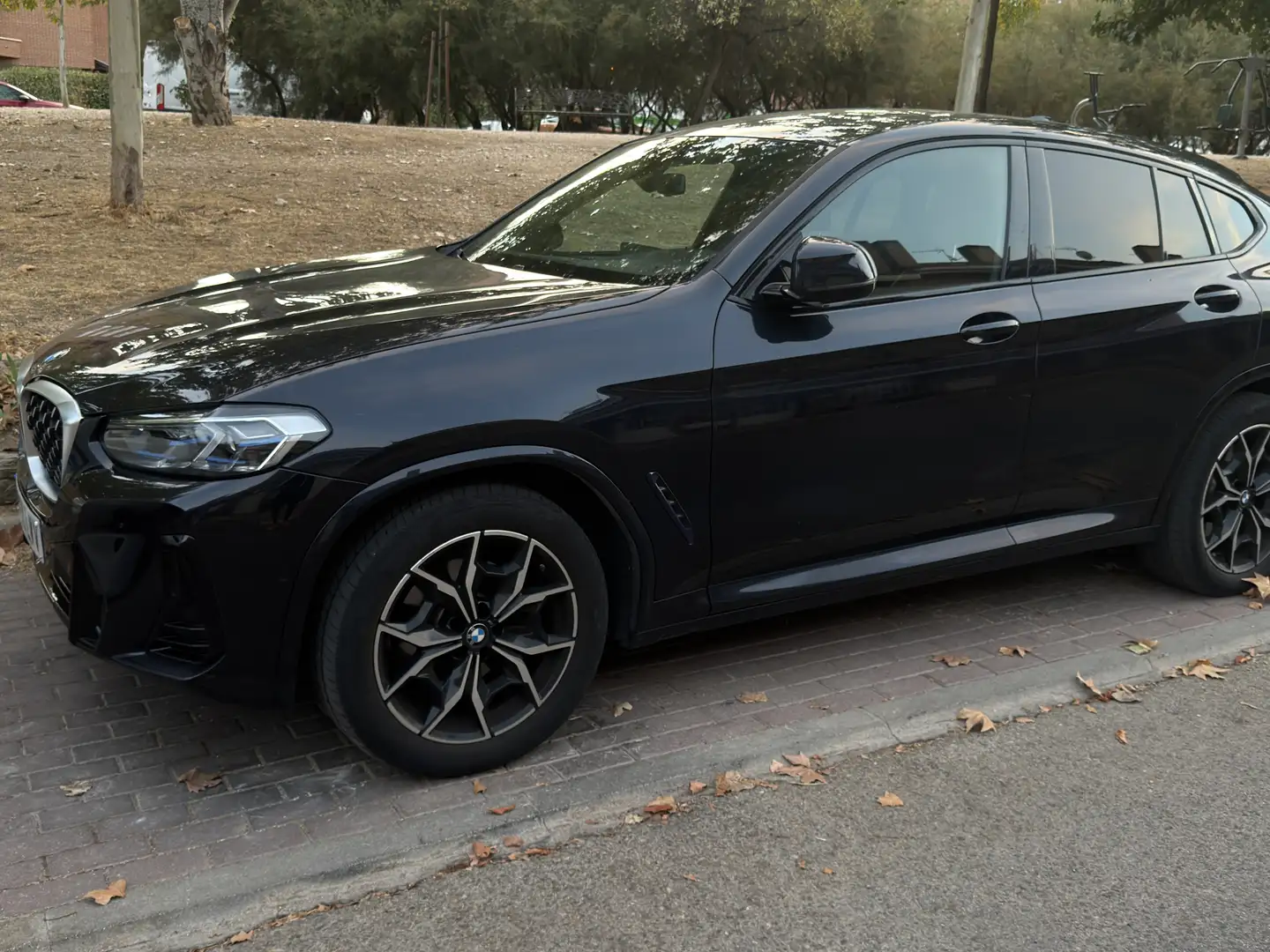 BMW X4 xDrive 20dA - 2