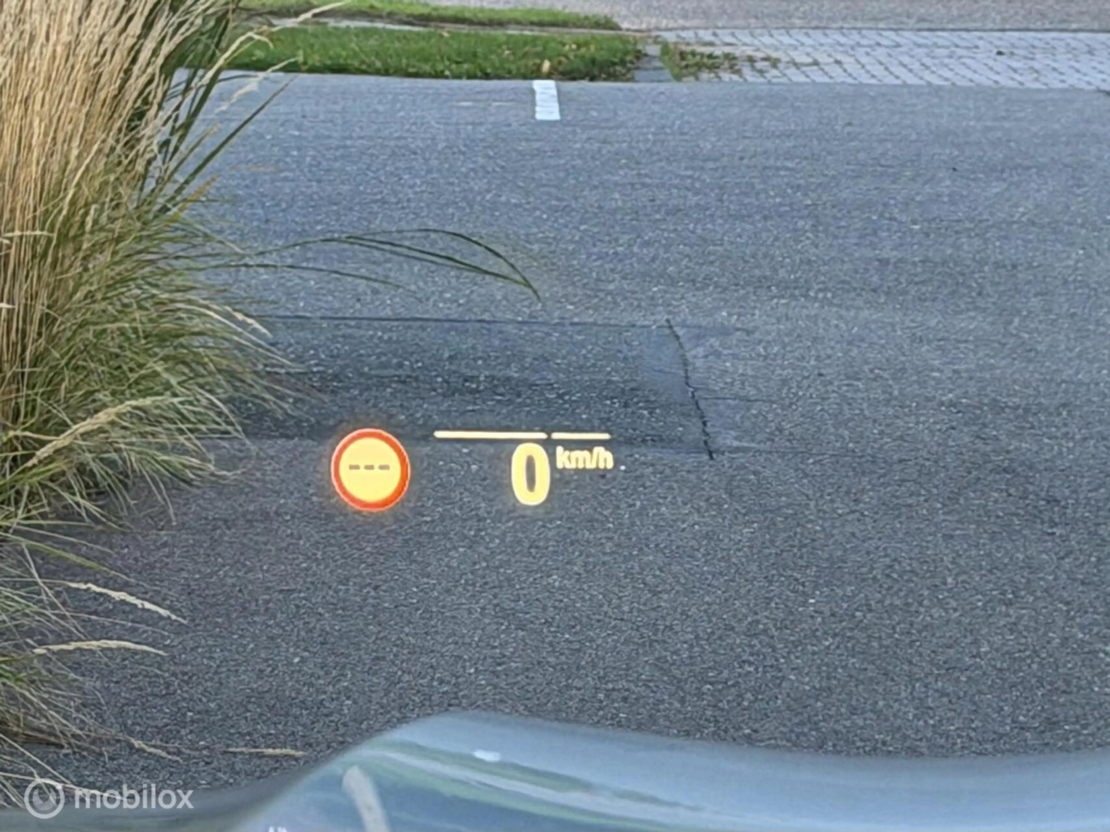 BMW X5 xDrive45e High Executive I Pano I Luchtvering I Tr — photo 14