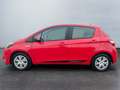 Toyota Yaris Yaris 1.5 Hybrid 5 porte Active Rouge - thumbnail 4