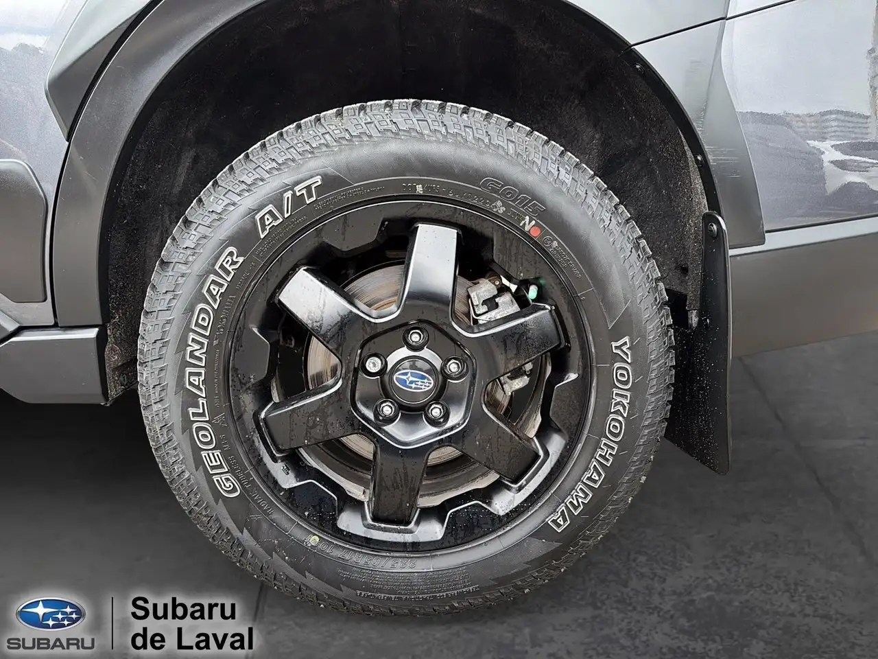 Subaru OUTBACK fotografie Subaru OUTBACK
