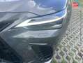 Lexus NX 450h+ 450h+ F SPORT Executive 4WD MY25 Gris - thumbnail 13