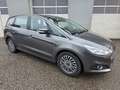 Ford S-Max S-MAX Titanium 2.0 EcoBlue Aut. *7-SITZER* Grau - thumbnail 2