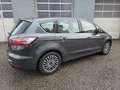 Ford S-Max S-MAX Titanium 2.0 EcoBlue Aut. *7-SITZER* Grau - thumbnail 6