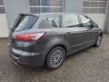 Ford S-Max S-MAX Titanium 2.0 EcoBlue Aut. *7-SITZER* Grau - thumbnail 23