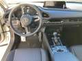 Mazda CX-30 Homura Weiß - thumbnail 6