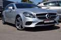 Mercedes-Benz CLS 250 250 D EXECUTIVE 4MATIC 7G-TRONIC + Grau - thumbnail 1
