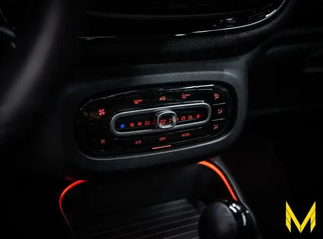 smart Fortwo view 12