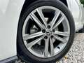 Volkswagen Polo Polo 1.0 TSi ! R-Line Int. Ext ! Pano / Cockpit !! Blanc - thumbnail 20