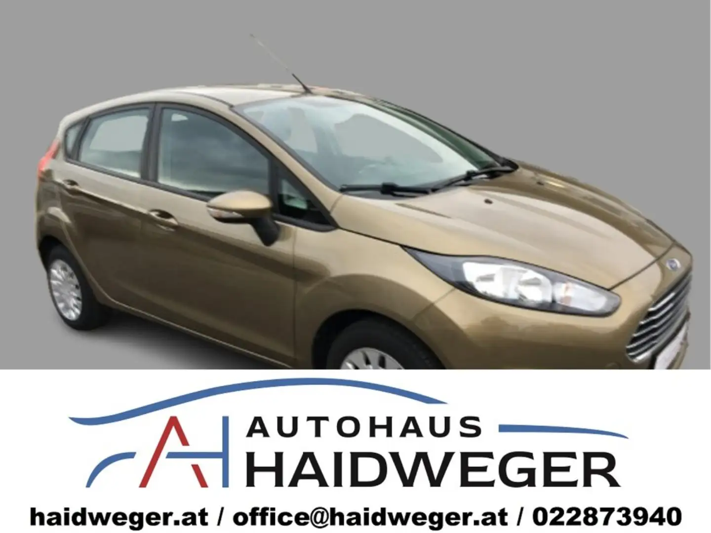 Ford Fiesta 1,25 Trend Gold - 1