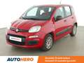 Fiat Panda 1.2 Easy Rouge - thumbnail 1