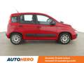 Fiat Panda 1.2 Easy Rouge - thumbnail 21