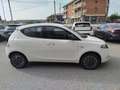 Lancia Ypsilon Ypsilon 1.0 FireFly 5 porte S&S Hybrid Platino Bianco - thumbnail 8