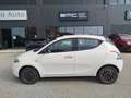 Lancia Ypsilon Ypsilon 1.0 FireFly 5 porte S&S Hybrid Platino Bianco - thumbnail 4