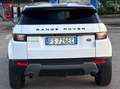 Land Rover Range Rover Evoque 5p 2.0 td4 SE 150cv my19 - thumbnail 7