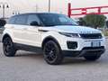 Land Rover Range Rover Evoque 5p 2.0 td4 SE 150cv my19 - thumbnail 14