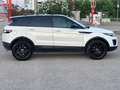 Land Rover Range Rover Evoque 5p 2.0 td4 SE 150cv my19 - thumbnail 10