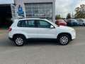 Volkswagen Tiguan 4Motion 2,0TDI AUTOMATIK/TÜV/KLIMA Bianco - thumbnail 4