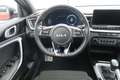 Kia ProCeed / pro_cee'd FAMILIAR 1.0 T-GDI 88KW GT LINE 120 5P - thumbnail 17