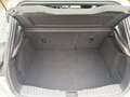 Ford Focus 1.0 Titanium Edition / ST-LINE / AIRCO ECC / 128dk Blanc - thumbnail 19