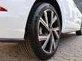 Volkswagen Polo 1.0 TSI DSG R-Line Navi/RFK Weiß - thumbnail 5