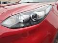 Kia Sportage 1.6 CRDi Business 4x2 136 Rojo - thumbnail 18