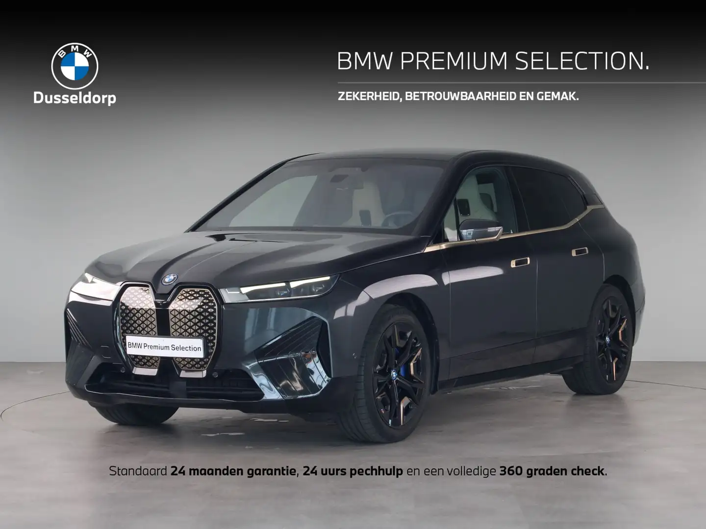 BMW iX xDrive40 Executive 77 kWh Grijs - 1