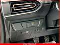 Dacia Sandero Stepway 1.0 TCe Eco-G Expression MY25 KM ZERO NEOP Verde - thumbnail 13