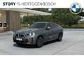 BMW X6 xDrive40i High Executive M Sport Automaat / Panora Grey - thumbnail 1
