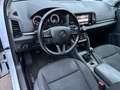 Skoda Karoq 2.0*EXECUTIVE*4X4*MANUALE* Weiß - thumbnail 8