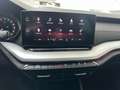Skoda Octavia 2,0 TDI Ambition DSG *NEUES MODELL * Grau - thumbnail 21