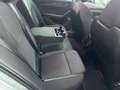 Skoda Octavia 2,0 TDI Ambition DSG *NEUES MODELL * Grau - thumbnail 37