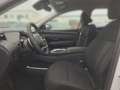 Hyundai TUCSON 1.6 T-GDi PHEV 6-AT 4WD Navipaket Blanc - thumbnail 7