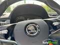 Skoda Fabia Combi Best of Drive 125 1.0l TSI+WKR+LED+ACC+NAVI Weiß - thumbnail 15