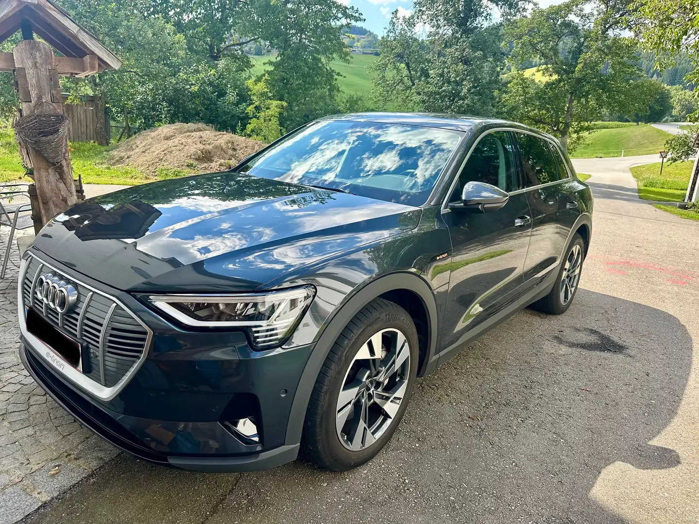 Audi e-tron 50 quattro basis Grau - 1