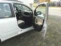 Fiat Panda My Panda Weiß - thumbnail 25
