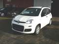 Fiat Panda My Panda Weiß - thumbnail 13