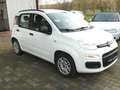 Fiat Panda My Panda Weiß - thumbnail 2