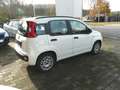 Fiat Panda My Panda Weiß - thumbnail 5