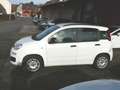Fiat Panda My Panda Weiß - thumbnail 12