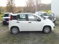 Fiat Panda My Panda Weiß - thumbnail 8