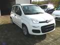 Fiat Panda My Panda Weiß - thumbnail 4