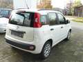 Fiat Panda My Panda Weiß - thumbnail 9