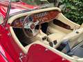 Morgan Plus 8 Plus-8 met Rover 3.9 V8 2-seater roadster Rouge - thumbnail 23
