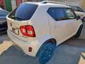 Suzuki Ignis Ignis III 2020 1.2h Top 2wd Bianco - thumbnail 15