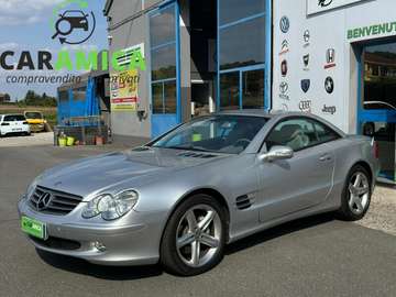 SL 500 cat