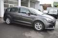 Ford S-Max Titanium*Auto*Leder*LED*CAM*STHZG*AHK*7 Sitzer* Grau - thumbnail 1