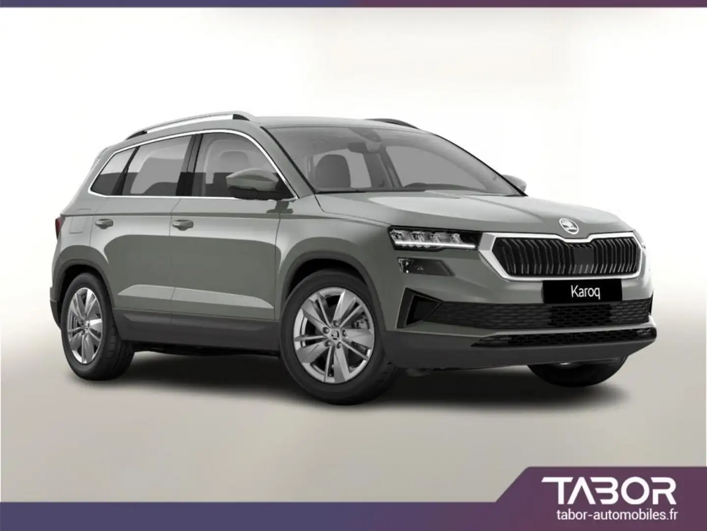 Skoda Karoq TSI 150 DSG Selection LED ACC GPS Gris - 1