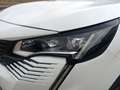 Peugeot 3008 1.5 BlueHDi 130 GT ACC KeyLess LED Navi PDC Weiß - thumbnail 3